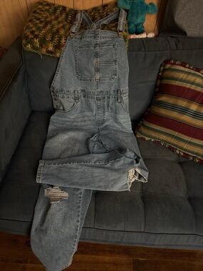 Celebrity Pink Light Blue Relaxed Denim Overalls